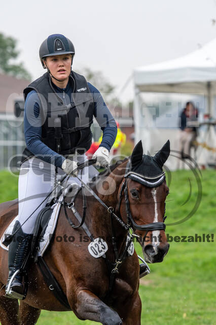 Goldene Schärpe 2020 - Pferde