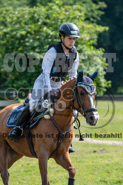 Goldene Schärpe 2021 - Ponys