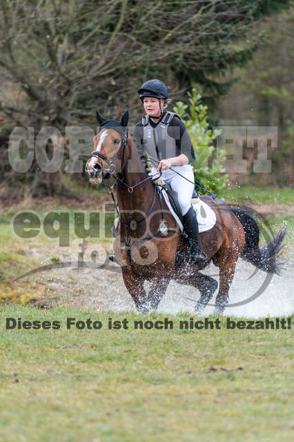 Eventing im Pferdesportzentrum Rheinland (Late Entry 14.03.2022)