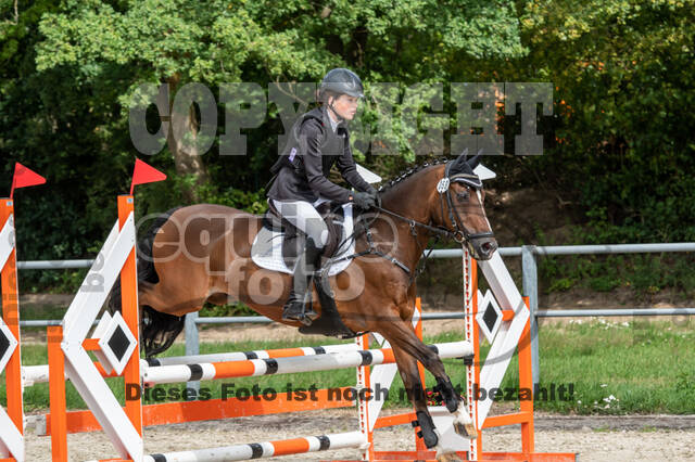 Late-Entry-Vielseitigkeit Langenfeld (06.+07.07.2020)