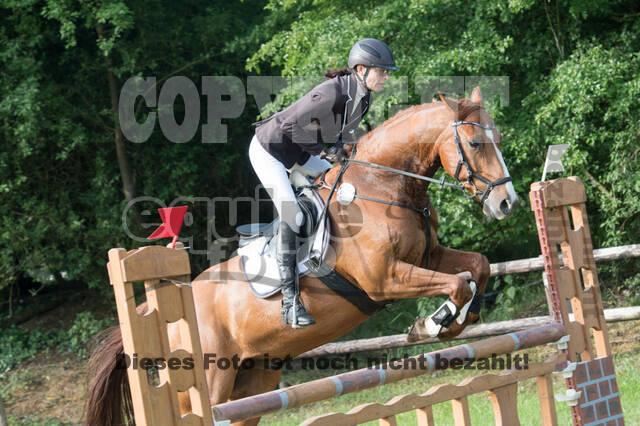 Vielseitigkeitsturnier ZRuFV von Lützow Hamminkeln