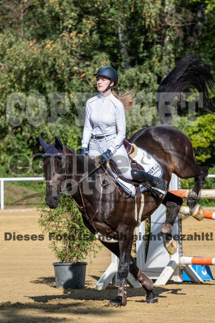 RFV Dinslaken-Hiesfeld (Herbstturnier)