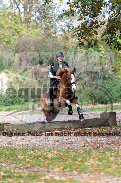 IGV Lehrgang der Sieger der Cups mit Frank Ostholt