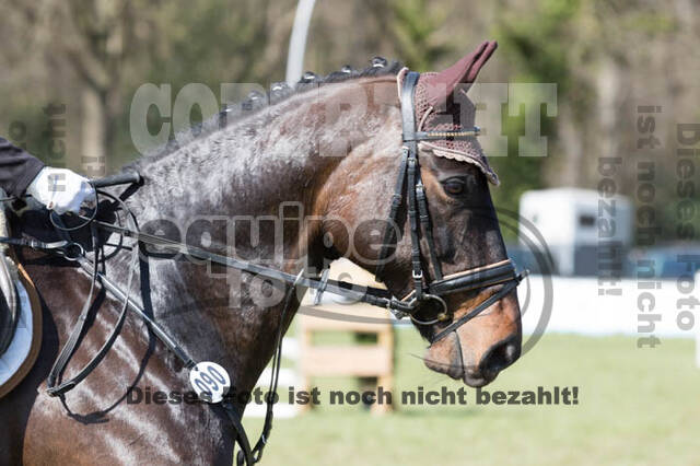 Frühjahrsvielseitigkeit RV Seydlitz Kamp