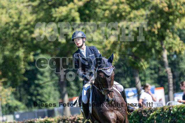 Kronenberg - De Peelbergen (August 2020)