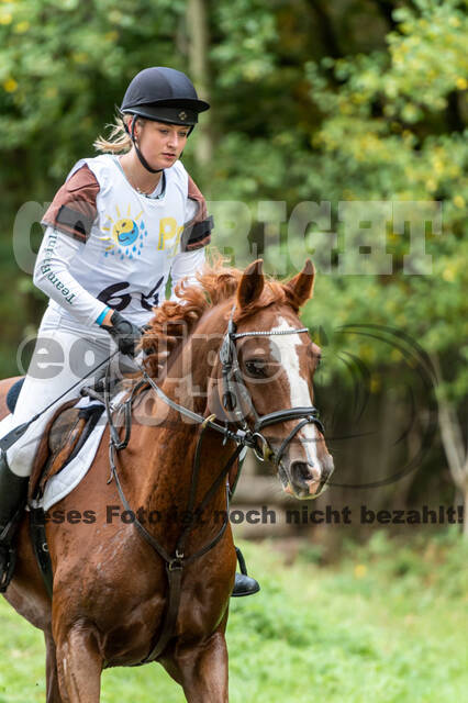 Vielseitigkeit RSV Wesel Obrighoven (26.+27.09.2020)