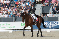 FEI European Championship Eventing 2019