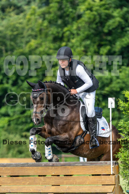 Goldene Schärpe 2021 - Ponys