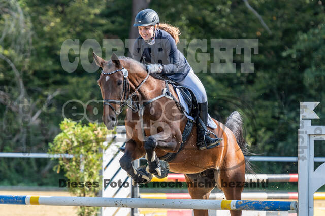 RFV Dinslaken-Hiesfeld (Herbstturnier)
