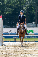 Goldene Schärpe 2021 - Ponys