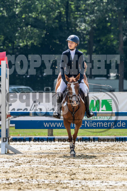 Goldene Schärpe 2021 - Ponys