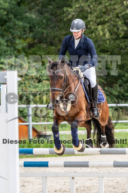 Late-Entry-Vielseitigkeit Langenfeld (06.+07.07.2020)