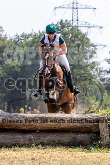 Late-Entry Vielseitigkeit Hamminkeln/Wesel (01.+02.08.2020)