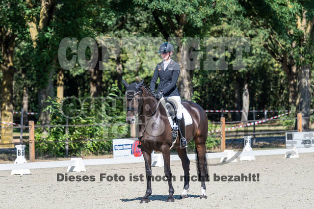 Kronenberg - De Peelbergen (August 2020)