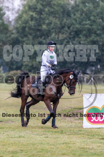 Deutsche Meisterschaft Vielseitigkeit (Luhmühlen)