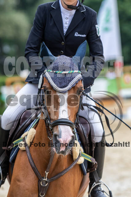 Goldene Schärpe 2021 - Ponys