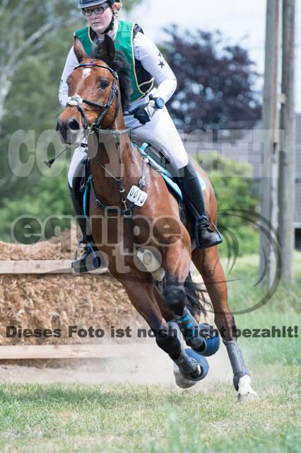 Vielseitigkeitsturnier ZRuFV von Lützow Hamminkeln