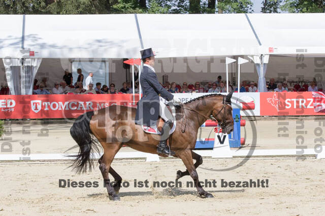 European Championship Eventing 2017