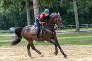 Hunter Geländetraining 10.07.2021 (Sonsbeck)