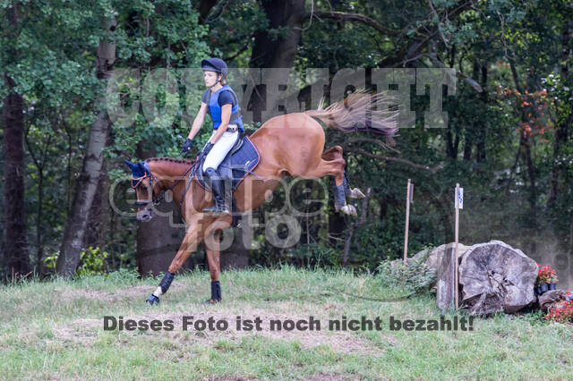 Late-Entry Vielseitigkeit Hamminkeln/Wesel (01.+02.08.2020)