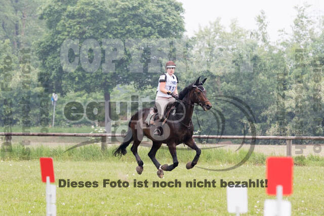 Vielseitigkeitsturnier ZRFV von Lützow Hamminkeln