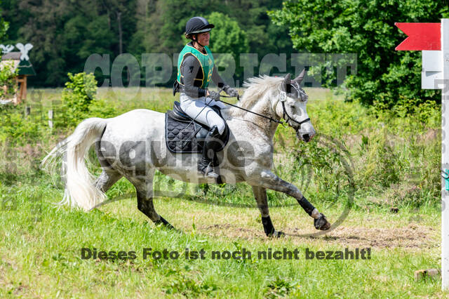 Westerstede Horse Trials (10.-13.06.2021)