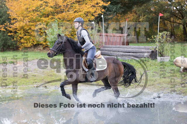 IGV Lehrgang der Sieger der Cups mit Frank Ostholt