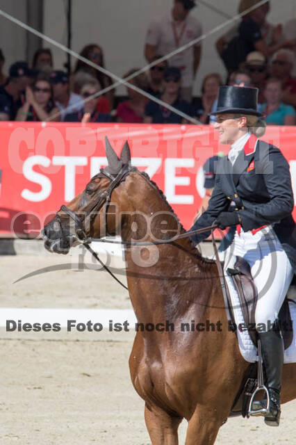 FEI European Championship Eventing 2017
