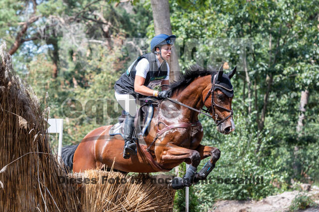 De Peelbergen (August 2020)