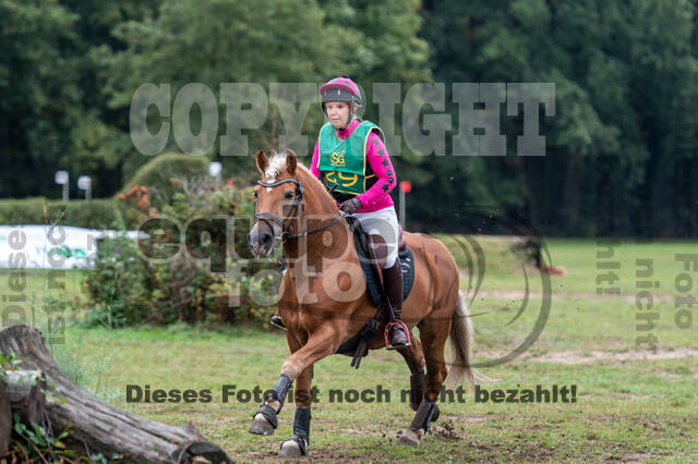 Vielseitigkeit RSV Wesel Obrighoven (26.+27.09.2020)