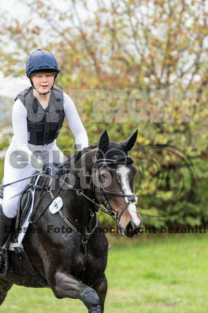 Goldene Schärpe 2020 - Pferde