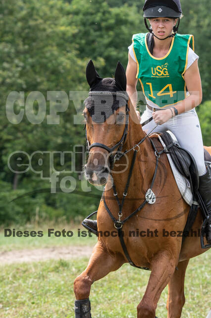 Late-Entry-Vielseitigkeit Gahlen (18.07.2020)