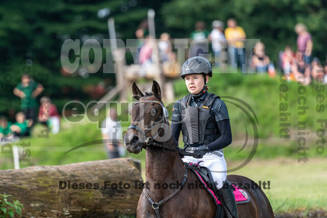 Goldene Schärpe 2021 - Ponys