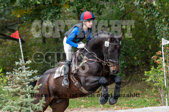 Goldene Schärpe 2020 - Pferde