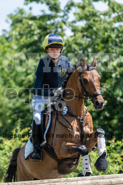 Goldene Schärpe 2021 - Ponys