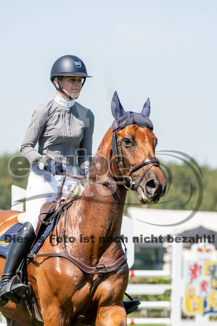 Kronenberg - De Peelbergen (August 2020)