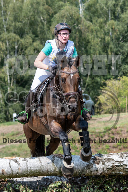 Late-Entry Vielseitigkeit Hamminkeln/Wesel (01.+02.08.2020)