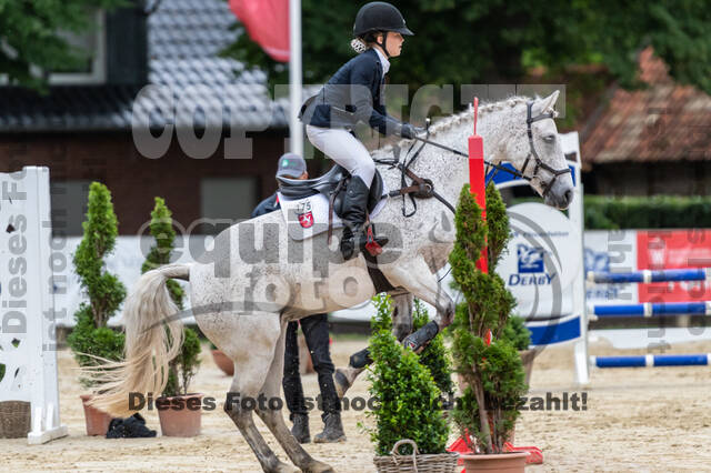 Goldene Schärpe 2021 - Ponys