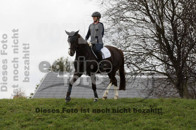 IGV Lehrgang der Sieger der Cups mit Frank Ostholt