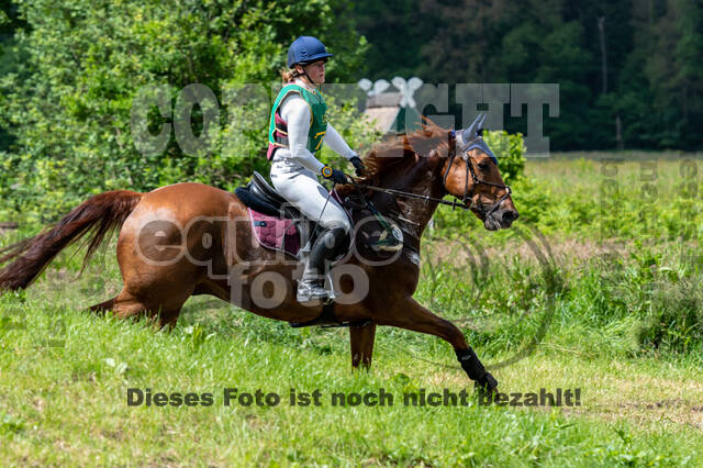 Westerstede Horse Trials (10.-13.06.2021)