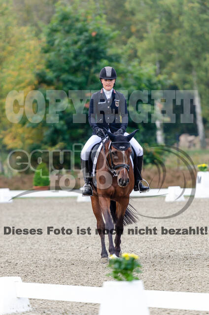Deutsche Meisterschaft Vielseitigkeit (Luhmühlen)