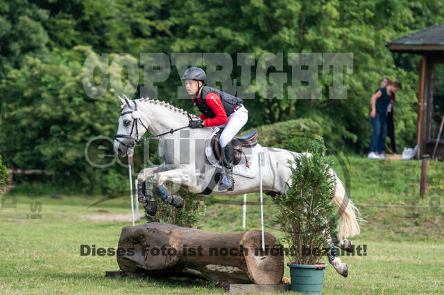 Goldene Schärpe 2021 - Ponys