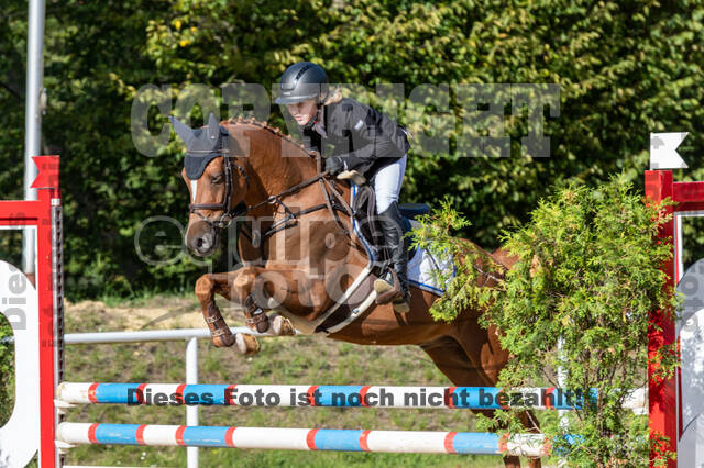 RFV Dinslaken-Hiesfeld (Herbstturnier)