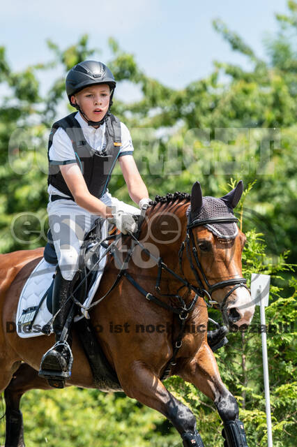 Goldene Schärpe 2021 - Ponys