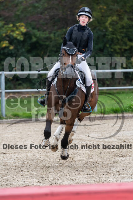 Goldene Schärpe 2020 - Pferde