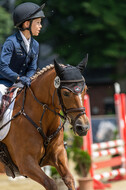 Goldene Schärpe 2021 - Ponys