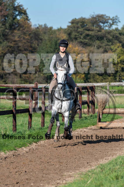 Vielseitigkeitslehrgang mit Jürg Kurbel (9.+10.11.2019)