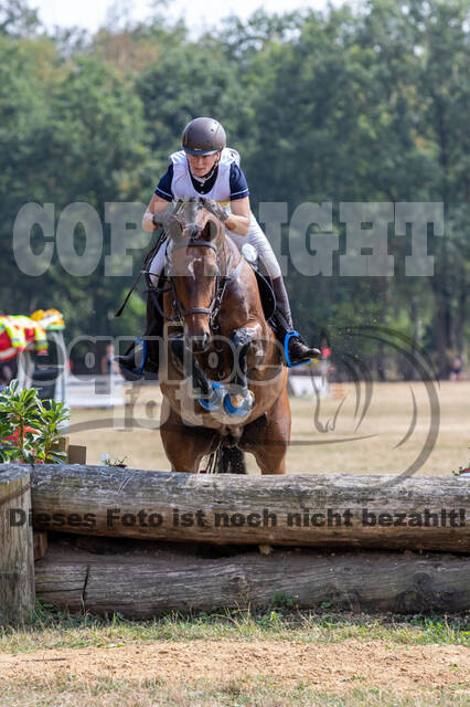 Late-Entry Vielseitigkeit Hamminkeln/Wesel (01.+02.08.2020)