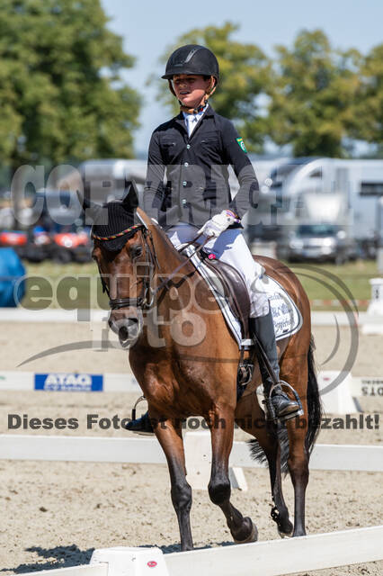 Kronenberg - De Peelbergen (August 2020)