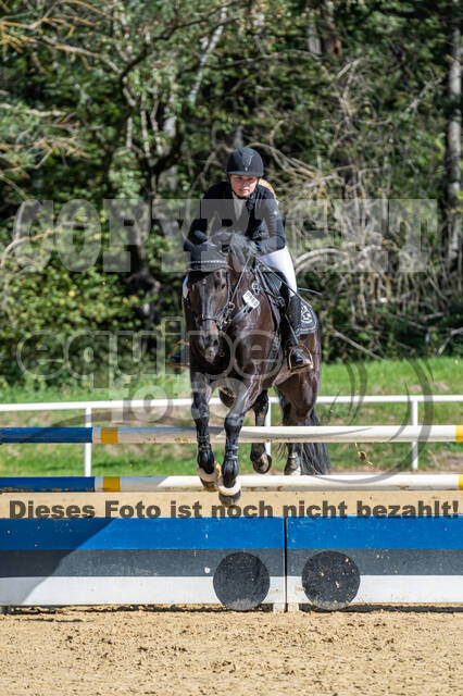 RFV Dinslaken-Hiesfeld (Herbstturnier)